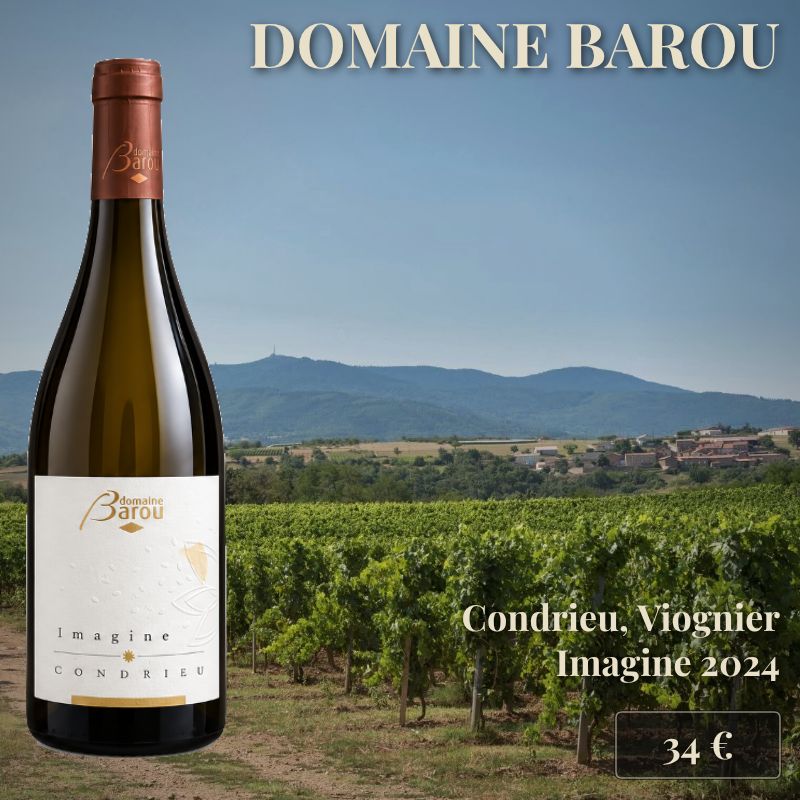 6 bouteilles de "Imagine" 2024, Condrieu, Domaine Barou (34€) 6 bouteilles de "Imagine" 2024, Condrieu, Domaine Barou (34€)