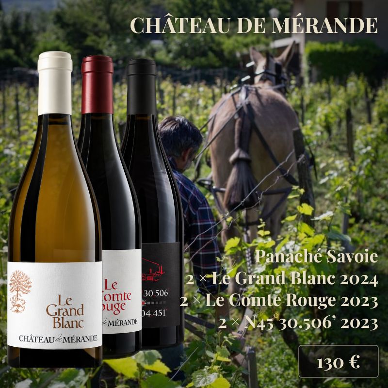 Panaché de 6 bouteilles : 2 bouteilles de "Le Grand Blanc" 2024, 2 bouteilles de "Le Comte Rouge" 2023 et 2 bouteilles de "N45°30.506’" 2023, Château de Mérande (130€) Panaché de 6 bouteilles : 2 bouteilles de "Le Grand Blanc" 2024, 2 bouteilles de "Le Comte Rouge" 2023 et 2 bouteilles de "N45°30.506’" 2023, Château de Mérande (130€)