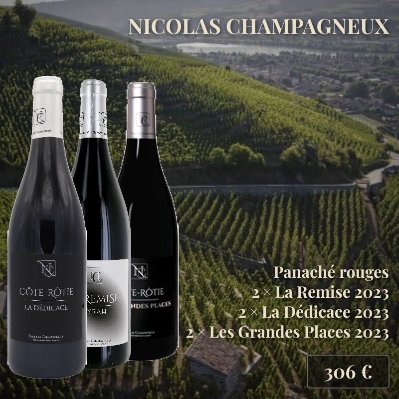 Panaché de 6 bouteilles : 2 bouteilles de "La Remise" 2023, 2 bouteilles de "La Dédicace" 2023 et 2 bouteilles de "Les Grandes Places" 2023, Nicolas Champagneux (306€) Panaché de 6 bouteilles : 2 bouteilles de "La Remise" 2023, 2 bouteilles de "La Dédicace" 2023 et 2 bouteilles de "Les Grandes Places" 2023, Nicolas Champagneux (306€)