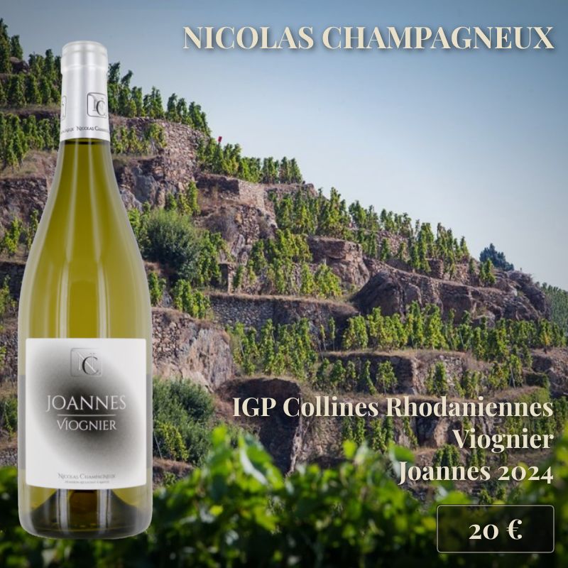 6 bouteilles de "Joannes" 2024, IGP Collines Rhodaniennes, Nicolas Champagneux (20€) 6 bouteilles de "Joannes" 2024, IGP Collines Rhodaniennes, Nicolas Champagneux (20€)