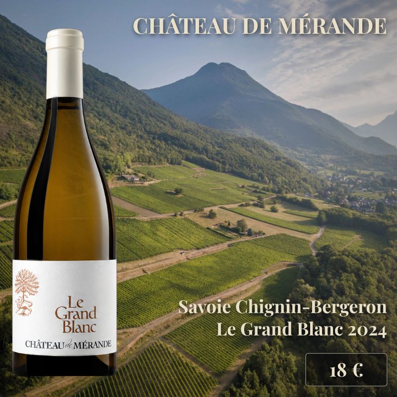 6 bouteilles de "Le Grand Blanc" 2024, Chignin-Bergeron, Château de Mérande (18€) 6 bouteilles de "Le Grand Blanc" 2024, Chignin-Bergeron, Château de Mérande (18€)
