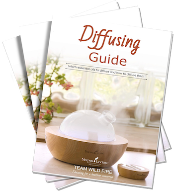 Diffusing Guide