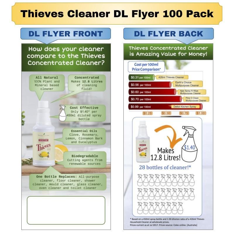 Thieves Cleaner DL Flyer 100 Pack