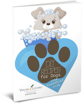 DIY Recipes for Dogs