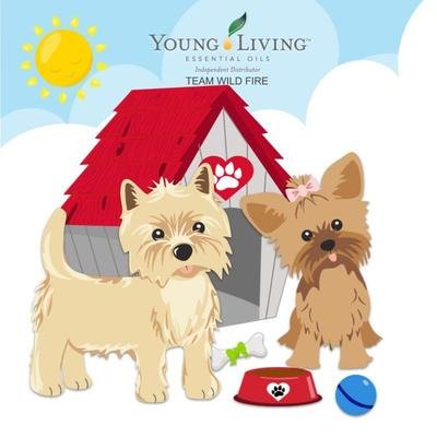 Pets and Animals Books