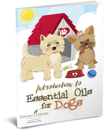 Introduction to Essential Oils for Dogs
