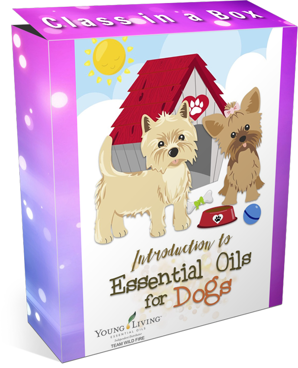 Oils Discovery for Dogs Class in a Box