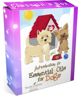 Oils Discovery for Dogs Class in a Box