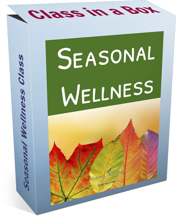 Seasonal Wellness Class in a Box