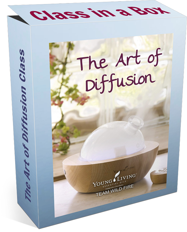 The Art of Diffusion Class in a Box