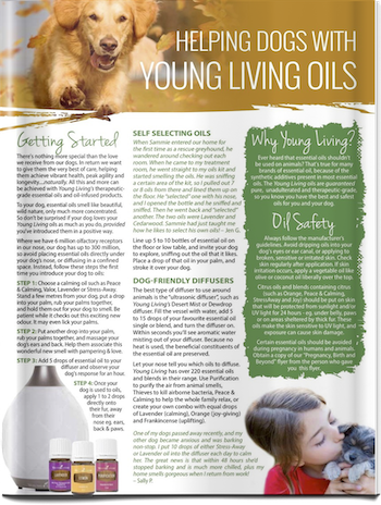 Helping Dogs with Oils