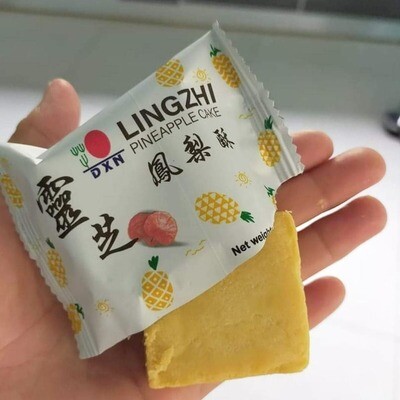 DXN LINGZHI PINEAPPLE CAKE (1 SACHET)