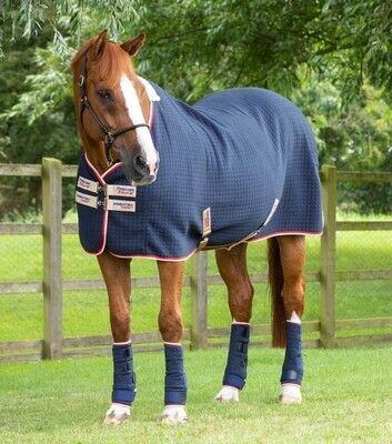 navy blue premtex horse cooler rug