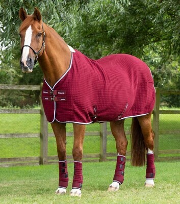 burgundy premtex horse cooler rug