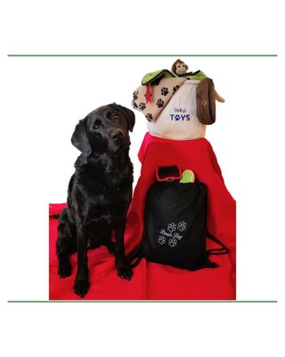 Dog Gift Hamper