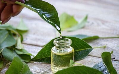 Antidouleur de sources naturelles