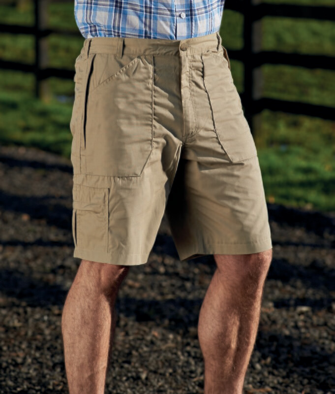 Champion Bretton Shorts, Stone