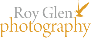 Roy Glen Photography
