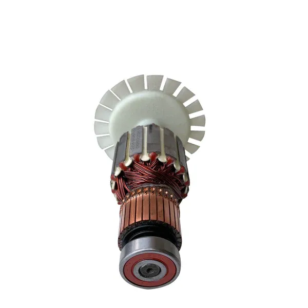 iQTS244 Armaturenbaugruppe Anker/Rotor/Läufer 230V
