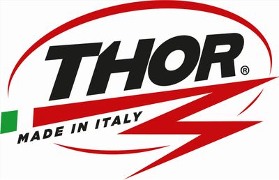 Thor Holzspalter mit EGO 56 Volt Antrieb