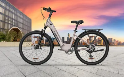 Kemoway E-Bikes