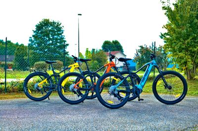 Cobra Fully Mountainbike E-MTB