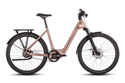 Transterra Easy 9.0 by "HANN-BIKES"