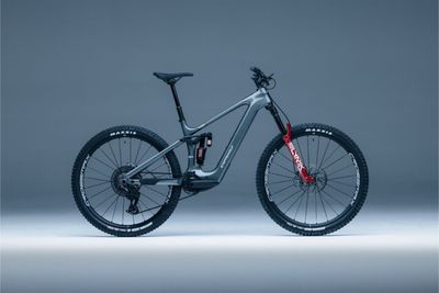 Tundra 10.0 by "HANN-BIKES"