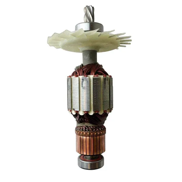 iQTS244 Armaturenbaugruppe Anker/Rotor/Läufer 230V