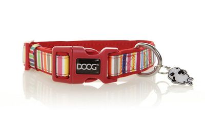 DOOG Neoprene Collar -SCOOBY-extra small