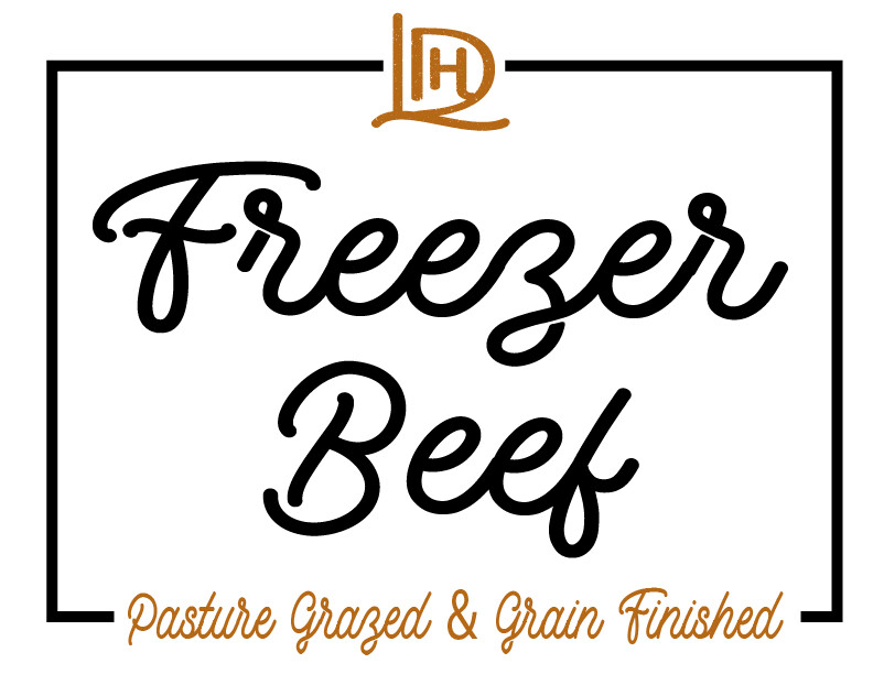 Freezer Beef