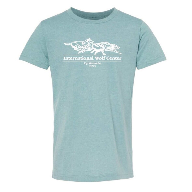 Logo Youth Tee Blue Lagoon