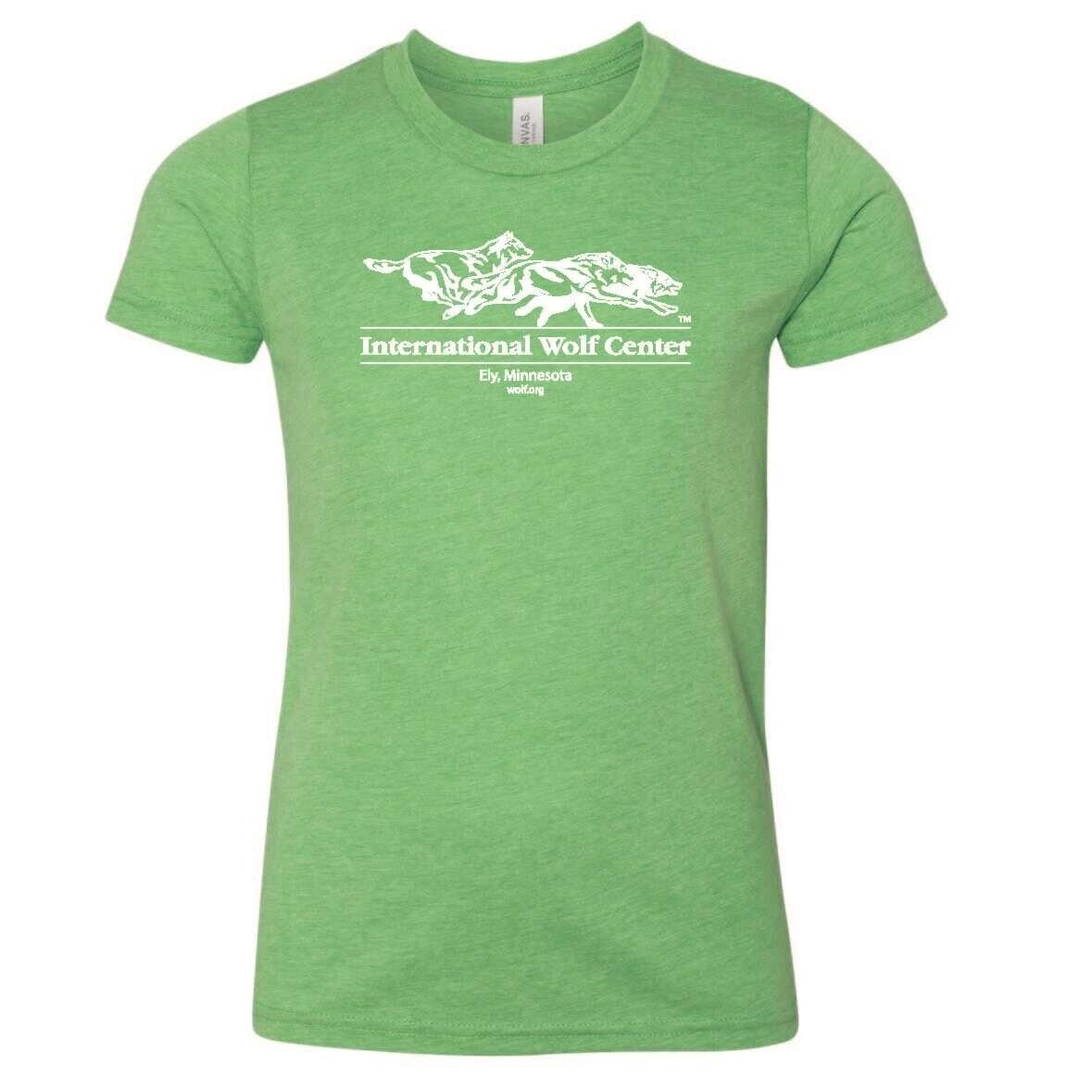 Logo Youth Tee Green Triblend