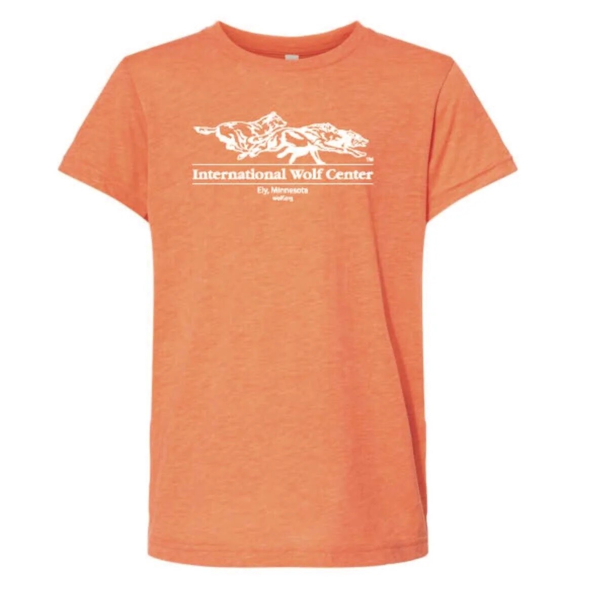Logo Youth Tee Orange Triblend