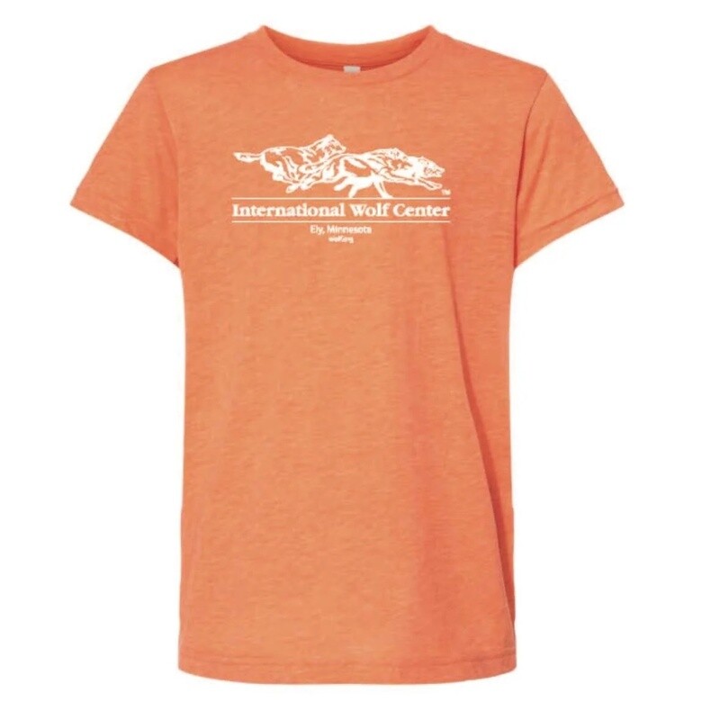 Logo Youth Tee Orange Triblend