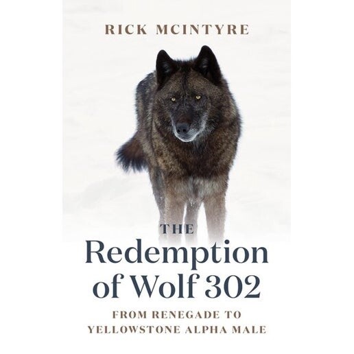Redemption Of Wolf 302