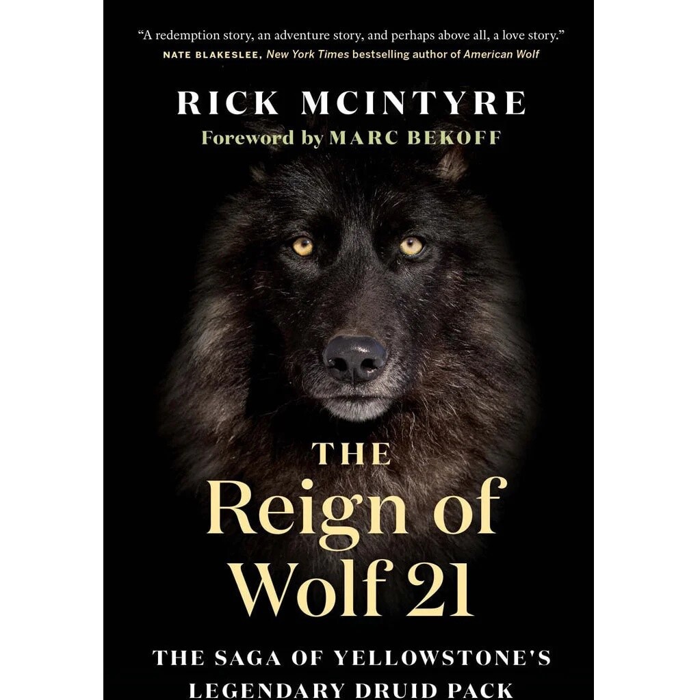 The Reign of Wolf 21