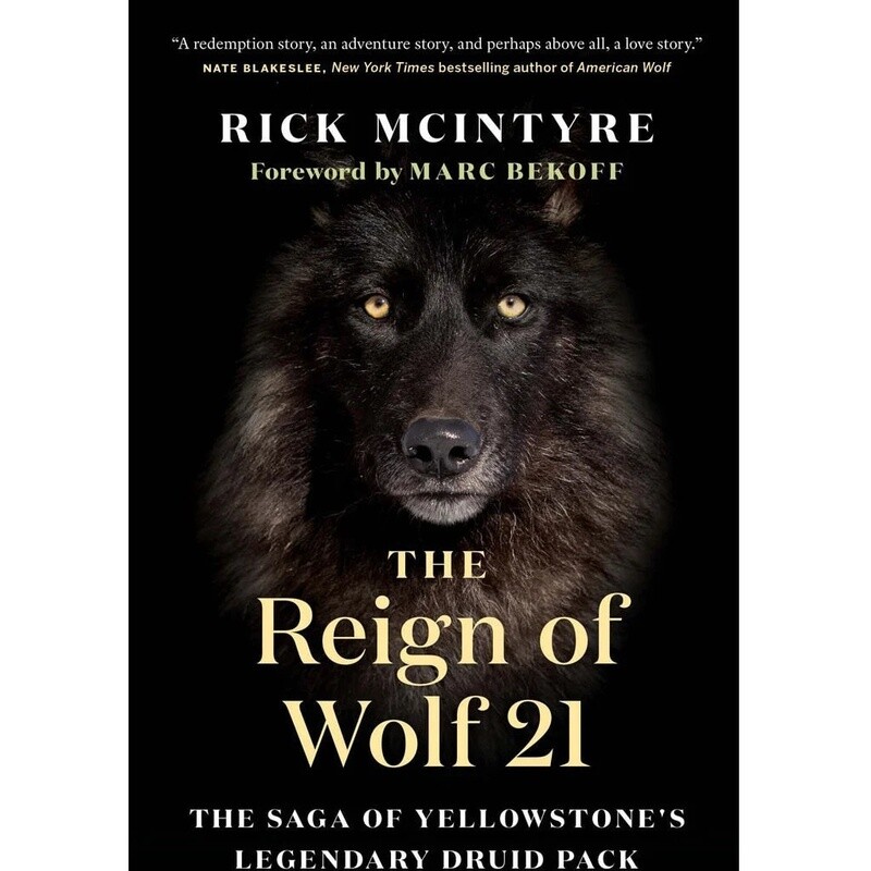 The Reign of Wolf 21