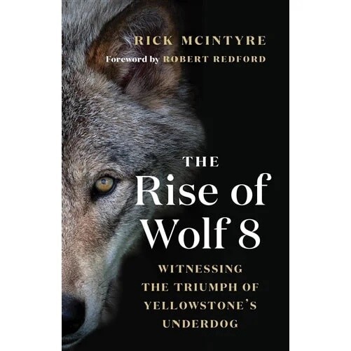 The Rise of Wolf 8