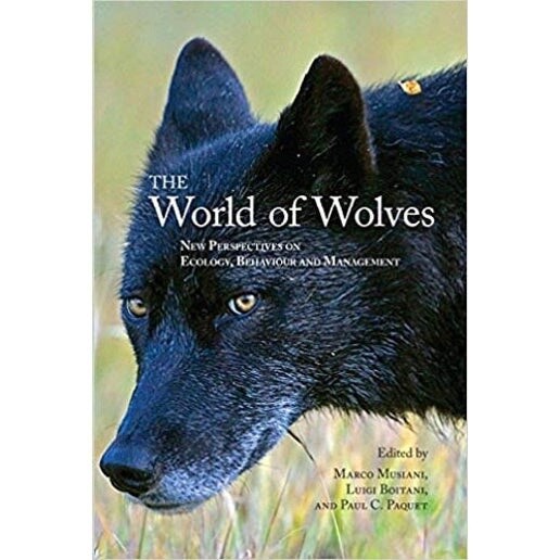 The World Of Wolves