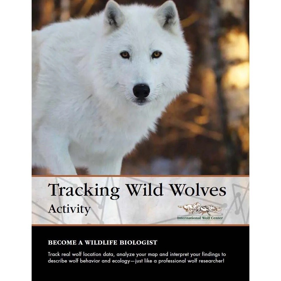 Tracking Wild Wolves