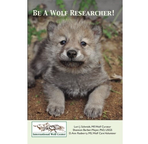 Wolf Pup Ethogram