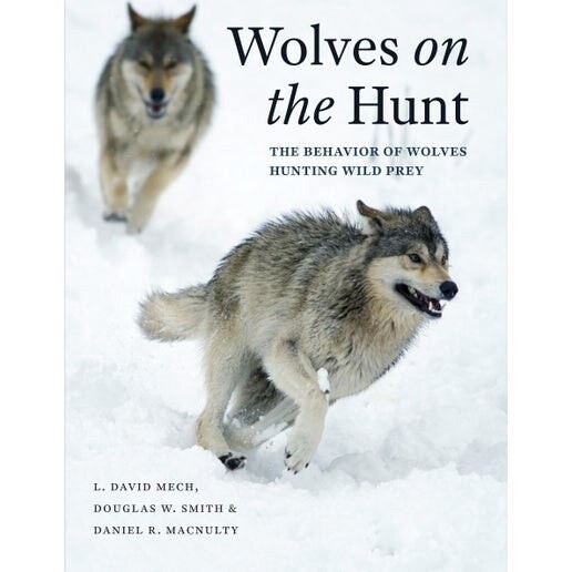 Wolves on the Hunt