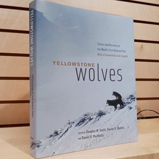 Yellowstone Wolves