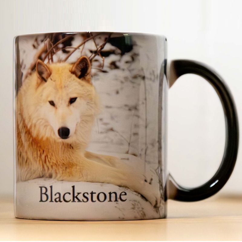 Blackstone Story Mug
