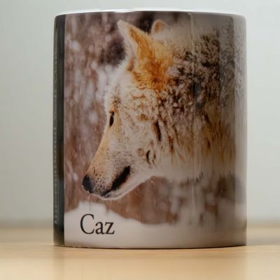 Caz Story Mug