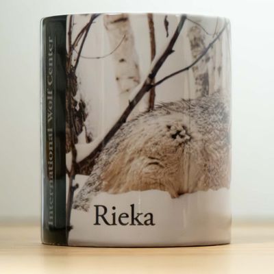 Rieka Story Mug