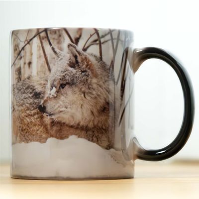 Rieka Story Mug