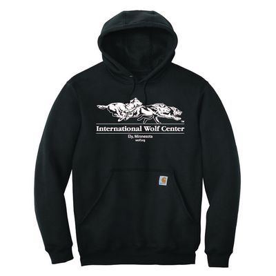 Carhartt Logo Hooded Sweatshirt - Black