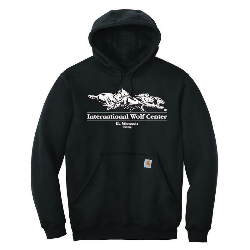 Carhartt Logo Hooded Sweatshirt - Black